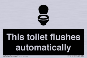 This toilet flushes automatically